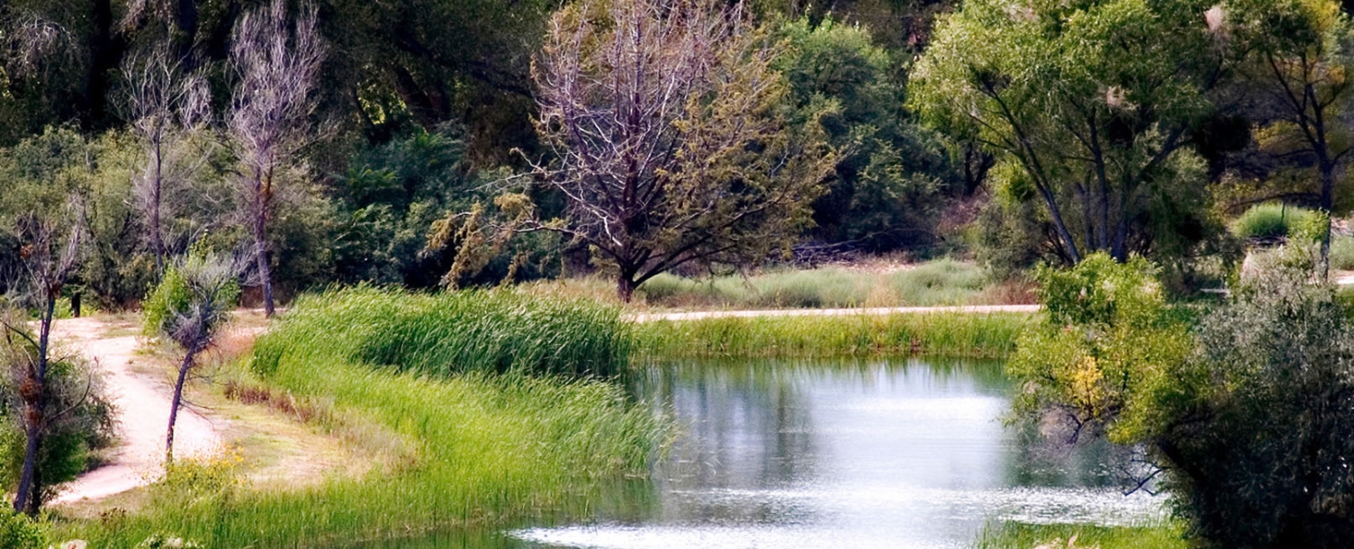 VERDE RIVER GREENWAY STATE NATURAL AREA